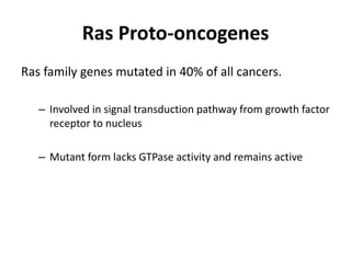 Ras Proto-oncogenes
Ras family genes mutated in 40% of all cancers.
– Involved in signal transduction pathway from growth factor
receptor to nucleus
– Mutant form lacks GTPase activity and remains active
 