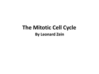 The Mitotic Cell Cycle By Leonard Zein 