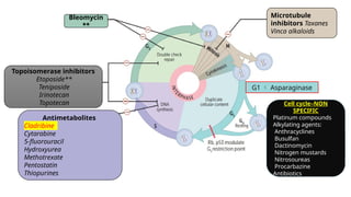 CANCER - cell cycle , apoptosis, RT, CT | PPTX
