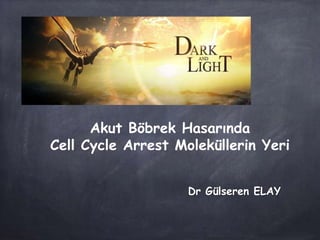 Akut Böbrek Hasarında
Cell Cycle Arrest Moleküllerin Yeri
Dr Gülseren ELAY
 