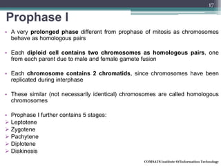 Prophase I
• A very prolonged phase different from prophase of mitosis as chromosomes
behave as homologous pairs
• Each diploid cell contains two chromosomes as homologous pairs, one
from each parent due to male and female gamete fusion
• Each chromosome contains 2 chromatids, since chromosomes have been
replicated during interphase
• These similar (not necessarily identical) chromosomes are called homologous
chromosomes
• Prophase I further contains 5 stages:
 Leptotene
 Zygotene
 Pachytene
 Diplotene
 Diakinesis
17
 
