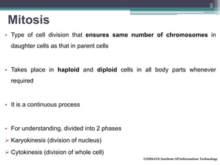 Mitosis
• Type of cell division that ensures same number of chromosomes in
daughter cells as that in parent cells
• Takes place in haploid and diploid cells in all body parts whenever
required
• It is a continuous process
• For understanding, divided into 2 phases
 Karyokinesis (division of nucleus)
 Cytokinesis (division of whole cell)
COMSATS Institute Of Information Technology
5
 