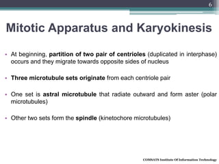 Mitotic Apparatus and Karyokinesis
• At beginning, partition of two pair of centrioles (duplicated in interphase)
occurs and they migrate towards opposite sides of nucleus
• Three microtubule sets originate from each centriole pair
• One set is astral microtubule that radiate outward and form aster (polar
microtubules)
• Other two sets form the spindle (kinetochore microtubules)
COMSATS Institute Of Information Technology
6
 