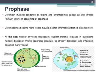 Prophase
• Chromatin material condense by folding and chromosomes appear as thin threads
(0.25µm-50μm) at beginning of prophase
• Chromosomes become more visible having 2 sister chromatids attached at centromere
• At the end; nuclear envelope disappears, nuclear material released in cytoplasm,
nucleoli disappear, mitotic apparatus organize (as already described) and cytoplasm
becomes more viscous
COMSATS Institute Of Information Technology
8
 
