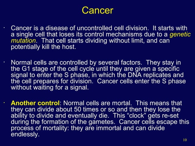 The Cell Cycle and Cancer Biology Diagrams