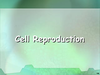 Cell Reproduction 