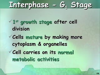 Interphase - G 1  Stage 1 st  growth stage  after cell division Cells  mature  by making more cytoplasm & organelles Cell carries on its  normal metabolic activities 