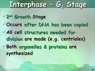 Interphase – G 2  Stage 2 nd  Growth  Stage Occurs  after DNA has been copied All cell  structures needed for division  are made (e.g. centrioles) Both  organelles & proteins  are synthesized 