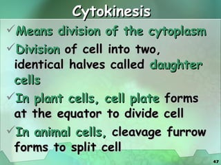 Cytokinesis Means division of the cytoplasm Division  of cell into two, identical halves called  daughter cells In plant cells, cell plate  forms at the equator to divide cell In animal cells,  cleavage furrow forms to split cell 