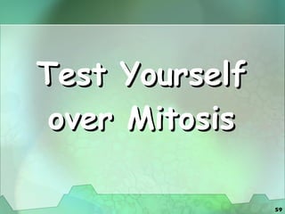 Test Yourself over Mitosis 