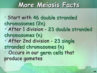 More Meiosis Facts Start with  46 double stranded chromosomes (2n) After 1 division -  23 double stranded chromosomes (n) After 2nd division -  23 single stranded chromosomes (n)    Occurs in our  germ cells  that produce gametes 