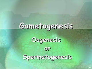 Gametogenesis Oogenesis  or  Spermatogenesis 