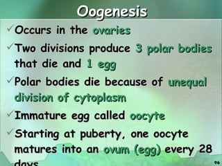 Oogenesis Occurs in the  ovaries Two divisions produce  3 polar bodies  that die and  1 egg Polar bodies die because of  unequal division of cytoplasm Immature egg called  oocyte Starting at puberty, one oocyte matures into an  ovum (egg)  every 28 days 