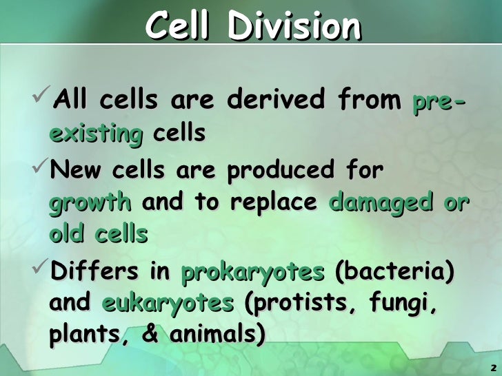cell cycle and dividing cells number What is the cell cycle cells grow and divide as organisms grow and cells resulting from mitotic division have the same number of chromosomes as the original cell. cell cycle and dividing cells number What is the cell cycle cells grow and divide as organisms grow and cells resulting from mitotic division have the same number of chromosomes as the original cell.