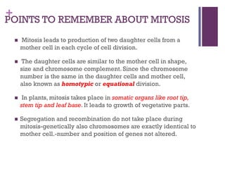 +
POINTS TO REMEMBER ABOUT MITOSIS
n Mitosis leads to production of two daughter cells from a
mother cell in each cycle of cell division.
n The daughter cells are similar to the mother cell in shape,
size and chromosome complement. Since the chromosome
number is the same in the daughter cells and mother cell,
also known as homotypic or equational division.
n In plants, mitosis takes place in somatic organs like root tip,
stem tip and leaf base. It leads to growth of vegetative parts.
n Segregation and recombination do not take place during
mitosis-genetically also chromosomes are exactly identical to
mother cell.-number and position of genes not altered.
 