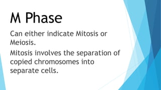 CELL CYCLE & CELL DIVISION.pptx