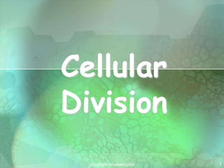 1
Cellular
Division
copyright cmassengale
 