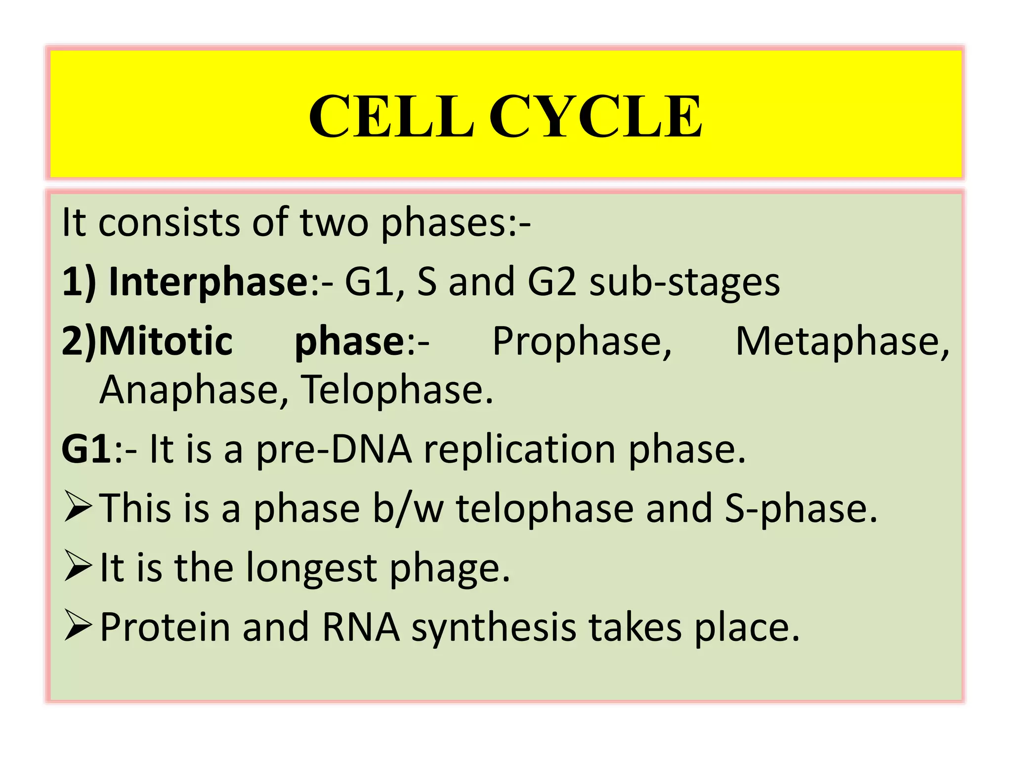 CELL CYCLE & CELL DIVISION.pptx | Biological Sciences | Science
