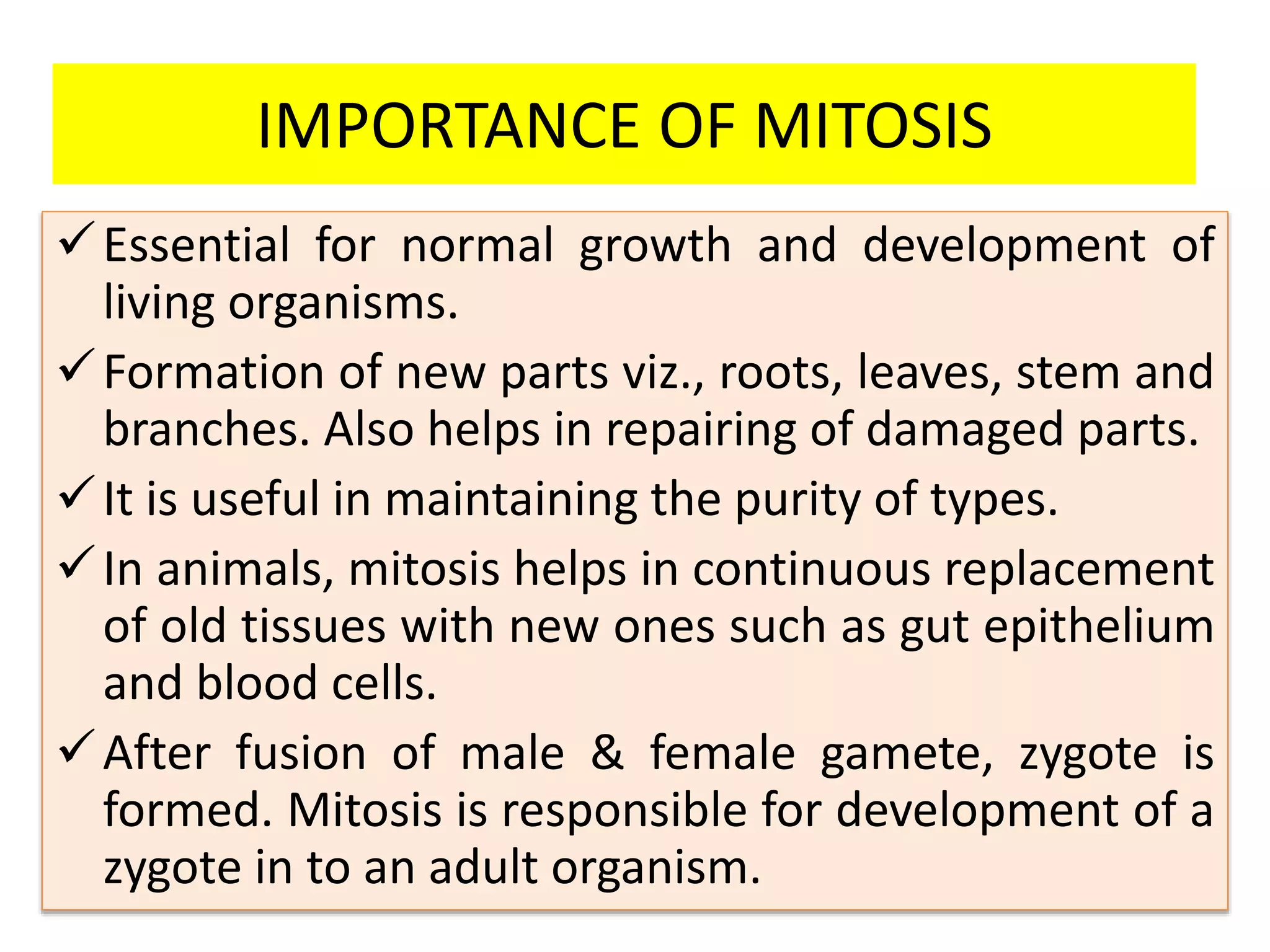 CELL CYCLE & CELL DIVISION.pptx
