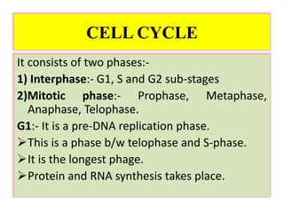 CELL CYCLE
It consists of two phases:-
1) Interphase:- G1, S and G2 sub-stages
2)Mitotic phase:- Prophase, Metaphase,
Anaphase, Telophase.
G1:- It is a pre-DNA replication phase.
This is a phase b/w telophase and S-phase.
It is the longest phage.
Protein and RNA synthesis takes place.
 