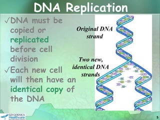 Cell Cycle & Cell Division.ppt.pptx