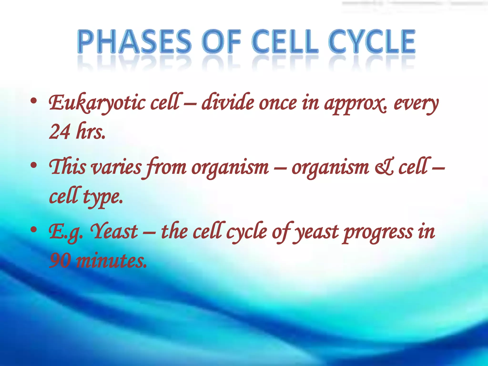 • Eukaryotic cell – divide once in approx. every
  24 hrs.
• This varies from organism – organism & cell –
  cell type.
• E.g. Yeast – the cell cycle of yeast progress in
  90 minutes.
 