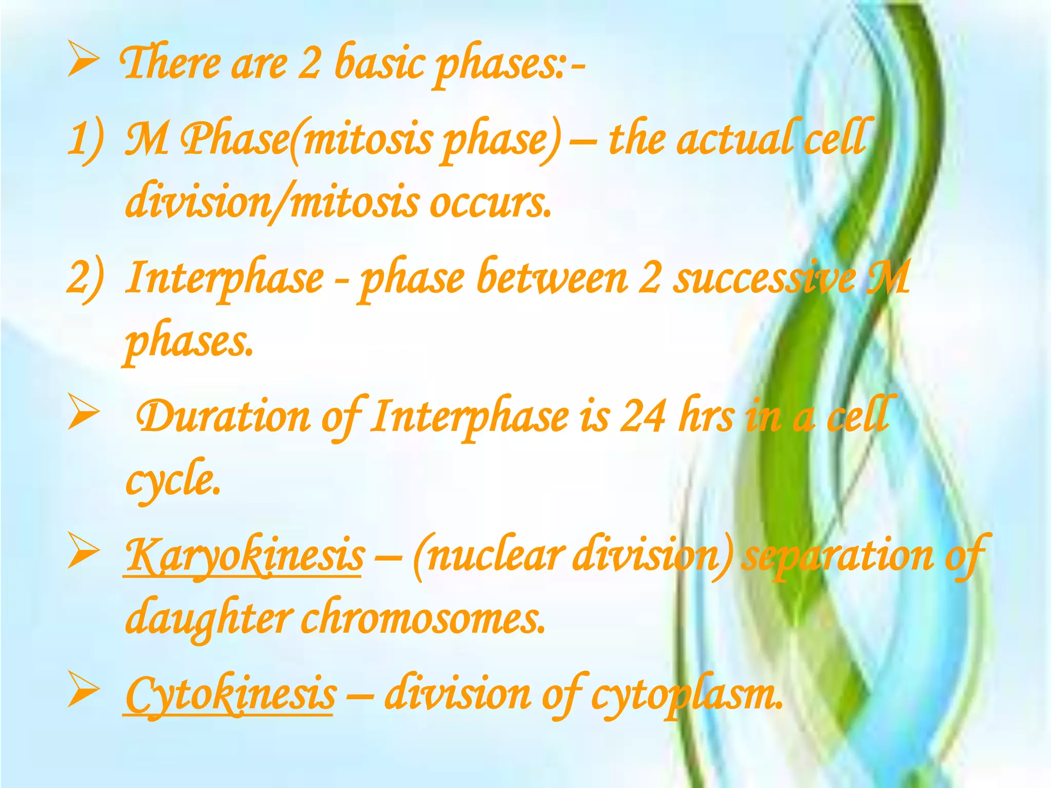  There are 2 basic phases:-
1) M Phase(mitosis phase) – the actual cell
   division/mitosis occurs.
2) Interphase - phase between 2 successive M
   phases.
 Duration of Interphase is 24 hrs in a cell
   cycle.
 Karyokinesis – (nuclear division) separation of
   daughter chromosomes.
 Cytokinesis – division of cytoplasm.
 