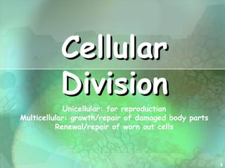 Cellular
          Division
             Unicellular: for reproduction
Multicellular: growth/repair of damaged body parts
          Renewal/repair of worn out cells



                                                     1
 