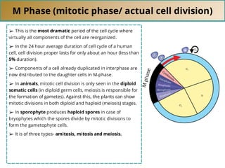 M Phase (mitotic phase/ actual cell division)
➢ This is the most dramatic period of the cell cycle where
virtually all components of the cell are reorganized.
➢ In the 24 hour average duration of cell cycle of a human
cell, cell division proper lasts for only about an hour (less than
5% duration).
➢ Components of a cell already duplicated in interphase are
now distributed to the daughter cells in M-phase.
➢ In animals, mitotic cell division is only seen in the diploid
somatic cells (in diploid germ cells, meiosis is responsible for
the formation of gametes). Against this, the plants can show
mitotic divisions in both diploid and haploid (meiosis) stages.
➢ In sporophyte produces haploid spores in case of
bryophytes which the spores divide by mitotic divisions to
form the gametophyte cells.
➢ It is of three types- amitosis, mitosis and meiosis.
M
p
h
a
s
e
 