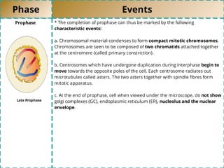 Phase Events
Prophase * The completion of prophase can thus be marked by the following
characteristic events:
a. Chromosomal material condenses to form compact mitotic chromosomes.
Chromosomes are seen to be composed of two chromatids attached together
at the centromere (called primary constriction).
b. Centrosomes which have undergone duplication during interphase begin to
move towards the opposite poles of the cell. Each centrosome radiates out
microtubules called asters. The two asters together with spindle ﬁbres form
mitotic apparatus.
c. At the end of prophase, cell when viewed under the microscope, do not show
golgi complexes (GC), endoplasmic reticulum (ER), nucleolus and the nuclear
envelope.
Late Prophase
 
