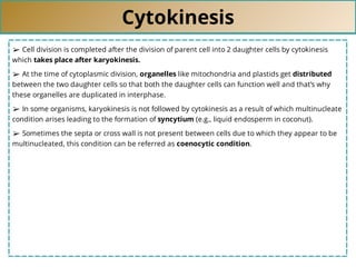 Cytokinesis
➢ Cell division is completed after the division of parent cell into 2 daughter cells by cytokinesis
which takes place after karyokinesis.
➢ At the time of cytoplasmic division, organelles like mitochondria and plastids get distributed
between the two daughter cells so that both the daughter cells can function well and that’s why
these organelles are duplicated in interphase.
➢ In some organisms, karyokinesis is not followed by cytokinesis as a result of which multinucleate
condition arises leading to the formation of syncytium (e.g., liquid endosperm in coconut).
➢ Sometimes the septa or cross wall is not present between cells due to which they appear to be
multinucleated, this condition can be referred as coenocytic condition.
 
