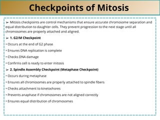 Checkpoints of Mitosis
➢ Mitosis checkpoints are control mechanisms that ensure accurate chromosome separation and
equal distribution to daughter cells. They prevent progression to the next stage until all
chromosomes are properly attached and aligned.
➢ 1. G2/M Checkpoint
• Occurs at the end of G2 phase
• Ensures DNA replication is complete
• Checks DNA damage
• Conﬁrms cell is ready to enter mitosis
➢ 2. Spindle Assembly Checkpoint (Metaphase Checkpoint)
• Occurs during metaphase
• Ensures all chromosomes are properly attached to spindle ﬁbers
• Checks attachment to kinetochores
• Prevents anaphase if chromosomes are not aligned correctly
• Ensures equal distribution of chromosomes
 