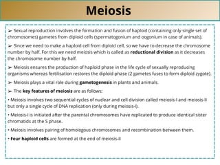 Meiosis
➢ Sexual reproduction involves the formation and fusion of haploid (containing only single set of
chromosomes) gametes from diploid cells (spermatogonium and oogonium in case of animals).
➢ Since we need to make a haploid cell from diploid cell, so we have to decrease the chromosome
number by half. For this we need meiosis which is called as reductional division as it decreases
the chromosome number by half.
➢ Meiosis ensures the production of haploid phase in the life cycle of sexually reproducing
organisms whereas fertilisation restores the diploid phase (2 gametes fuses to form diploid zygote).
➢ Meiosis plays a vital role during gametogenesis in plants and animals.
➢ The key features of meiosis are as follows:
• Meiosis involves two sequential cycles of nuclear and cell division called meiosis-I and meiosis-II
but only a single cycle of DNA replication (only during meiosis-I).
• Meiosis-I is initiated after the parental chromosomes have replicated to produce identical sister
chromatids at the S phase.
• Meiosis involves pairing of homologous chromosomes and recombination between them.
• Four haploid cells are formed at the end of meiosis-II
 