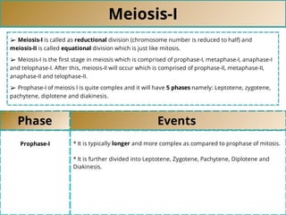 Meiosis-I
➢ Meiosis-I is called as reductional division (chromosome number is reduced to half) and
meiosis-II is called equational division which is just like mitosis.
➢ Meiosis-I is the ﬁrst stage in meiosis which is comprised of prophase-I, metaphase-I, anaphase-I
and telophase-I. After this, meiosis-II will occur which is comprised of prophase-II, metaphase-II,
anaphase-II and telophase-II.
➢ Prophase-I of meiosis I is quite complex and it will have 5 phases namely: Leptotene, zygotene,
pachytene, diplotene and diakinesis.
Phase Events
Prophase-I * It is typically longer and more complex as compared to prophase of mitosis.
* It is further divided into Leptotene, Zygotene, Pachytene, Diplotene and
Diakinesis.
 