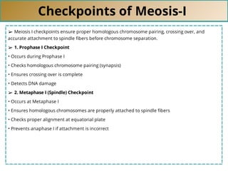 Checkpoints of Meosis-I
➢ Meiosis I checkpoints ensure proper homologous chromosome pairing, crossing over, and
accurate attachment to spindle ﬁbers before chromosome separation.
➢ 1. Prophase I Checkpoint
• Occurs during Prophase I
• Checks homologous chromosome pairing (synapsis)
• Ensures crossing over is complete
• Detects DNA damage
➢ 2. Metaphase I (Spindle) Checkpoint
• Occurs at Metaphase I
• Ensures homologous chromosomes are properly attached to spindle ﬁbers
• Checks proper alignment at equatorial plate
• Prevents anaphase I if attachment is incorrect
 