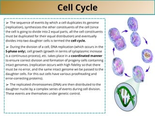 Cell Cycle
➢ The sequence of events by which a cell duplicates its genome
(replication), synthesizes the other constituents of the cell (since
the cell is going to divide into 2 equal parts, all the cell constituents
must be duplicated for their equal distribution) and eventually
divides into two daughter cells is termed the cell cycle.
➢ During the division of a cell, DNA replication (which occurs in the
S-phase only), cell growth (growth in terms of cytoplasmic increase
is a continuous process), etc. takes place in a coordinated manner
to ensure correct division and formation of progeny cells containing
intact genomes. (replication occurs with high ﬁdelity so that there
must be no error, and the same intact genome wii be passed to the
daughter cells. For this out cells have various proofreading and
error-correcting proteins).
➢ The replicated chromosomes (DNA) are then distributed to the
daughter nuclei by a complex series of events during cell division.
These events are themselves under genetic control.
 