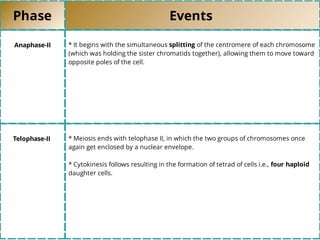 Phase Events
Anaphase-II * It begins with the simultaneous splitting of the centromere of each chromosome
(which was holding the sister chromatids together), allowing them to move toward
opposite poles of the cell.
Telophase-II * Meiosis ends with telophase II, in which the two groups of chromosomes once
again get enclosed by a nuclear envelope.
* Cytokinesis follows resulting in the formation of tetrad of cells i.e., four haploid
daughter cells.
 