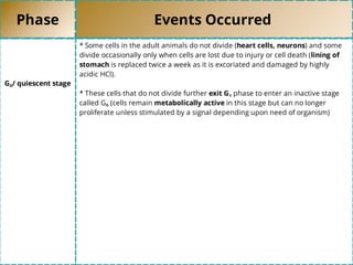 Phase Events Occurred
G₀/ quiescent stage
* Some cells in the adult animals do not divide (heart cells, neurons) and some
divide occasionally only when cells are lost due to injury or cell death (lining of
stomach is replaced twice a week as it is excoriated and damaged by highly
acidic HCl).
* These cells that do not divide further exit G₁ phase to enter an inactive stage
called G₀ (cells remain metabolically active in this stage but can no longer
proliferate unless stimulated by a signal depending upon need of organism)
 