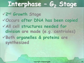 25
Interphase – G2 Stage
2nd Growth Stage
Occurs after DNA has been copied
All cell structures needed for
division are made (e.g. centrioles)
Both organelles & proteins are
synthesized
copyright cmassengale
 