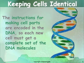 3
Keeping Cells Identical
The instructions for
making cell parts
are encoded in the
DNA, so each new
cell must get a
complete set of the
DNA molecules
copyright cmassengale
 