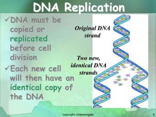 4
DNA Replication
DNA must be
copied or
replicated
before cell
division
Each new cell
will then have an
identical copy of
the DNA
Original DNA
strand
Two new,
identical DNA
strands
copyright cmassengale
 