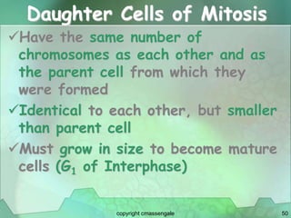50
Daughter Cells of Mitosis
Have the same number of
chromosomes as each other and as
the parent cell from which they
were formed
Identical to each other, but smaller
than parent cell
Must grow in size to become mature
cells (G1 of Interphase)
copyright cmassengale
 