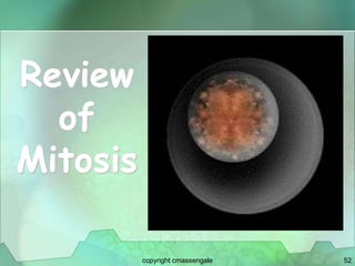 52
Review
of
Mitosis
copyright cmassengale
 