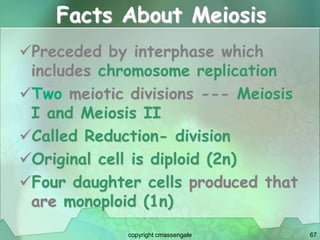 67
Facts About Meiosis
Preceded by interphase which
includes chromosome replication
Two meiotic divisions --- Meiosis
I and Meiosis II
Called Reduction- division
Original cell is diploid (2n)
Four daughter cells produced that
are monoploid (1n)
copyright cmassengale
 