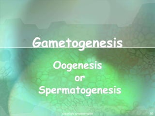 93
Gametogenesis
Oogenesis
or
Spermatogenesis
copyright cmassengale
 