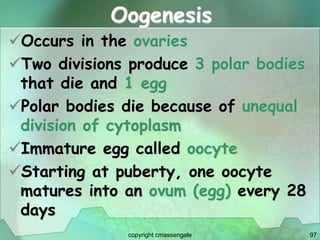 97
Oogenesis
Occurs in the ovaries
Two divisions produce 3 polar bodies
that die and 1 egg
Polar bodies die because of unequal
division of cytoplasm
Immature egg called oocyte
Starting at puberty, one oocyte
matures into an ovum (egg) every 28
days
copyright cmassengale
 