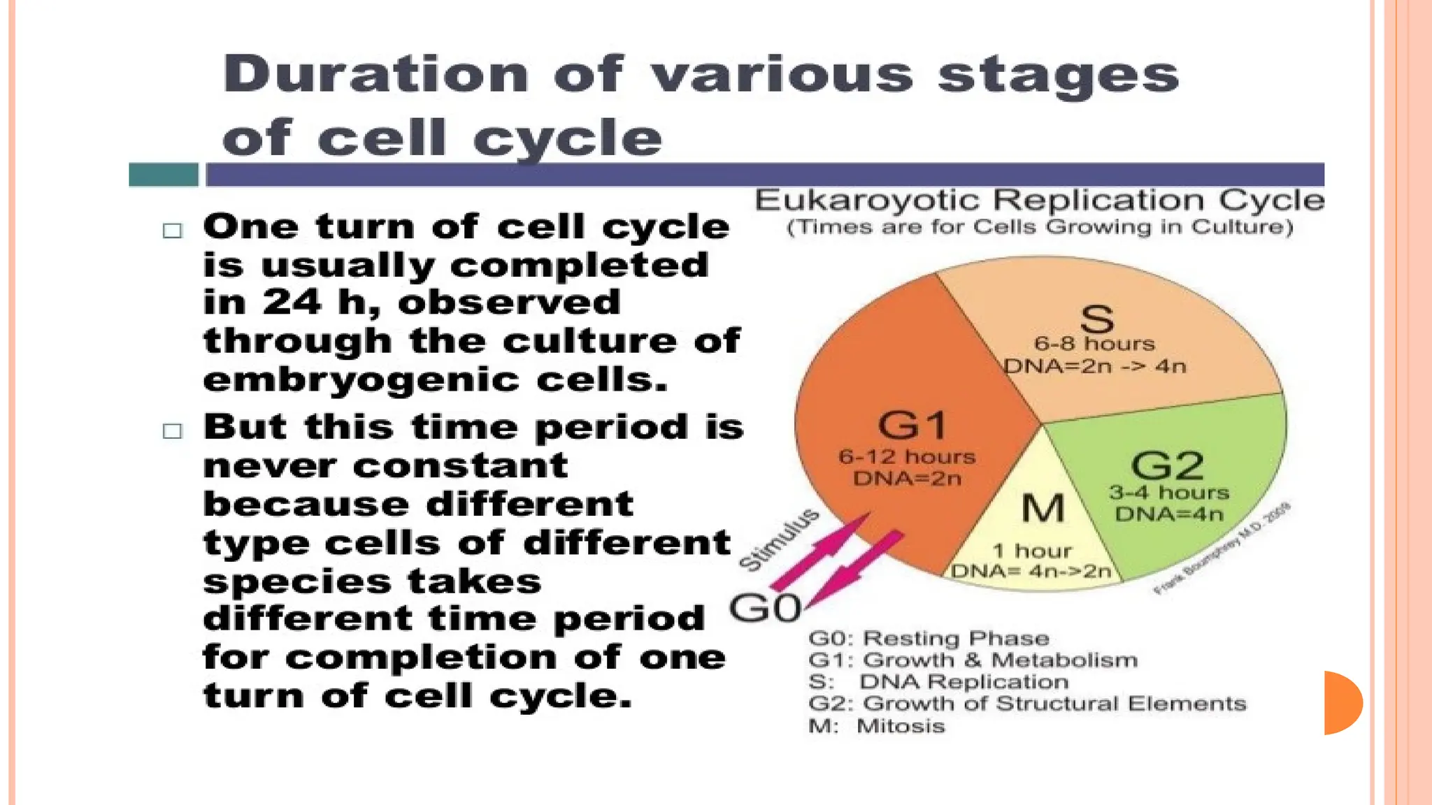 CELL CYCLE CELL DIVISION - mitosis and meiosis comparison and cell ...