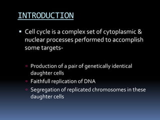 Cell cycle check point By KK Sahu Sir | PPT