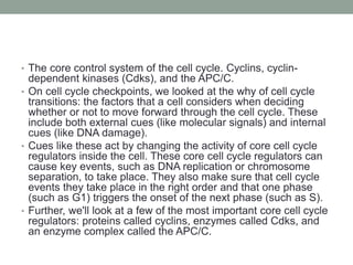 • The core control system of the cell cycle. Cyclins, cyclin-
dependent kinases (Cdks), and the APC/C.
• On cell cycle checkpoints, we looked at the why of cell cycle
transitions: the factors that a cell considers when deciding
whether or not to move forward through the cell cycle. These
include both external cues (like molecular signals) and internal
cues (like DNA damage).
• Cues like these act by changing the activity of core cell cycle
regulators inside the cell. These core cell cycle regulators can
cause key events, such as DNA replication or chromosome
separation, to take place. They also make sure that cell cycle
events they take place in the right order and that one phase
(such as G1) triggers the onset of the next phase (such as S).
• Further, we'll look at a few of the most important core cell cycle
regulators: proteins called cyclins, enzymes called Cdks, and
an enzyme complex called the APC/C.
 