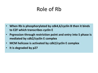 Cell cycle checkpoints, apoptosis and cancer | PPTX